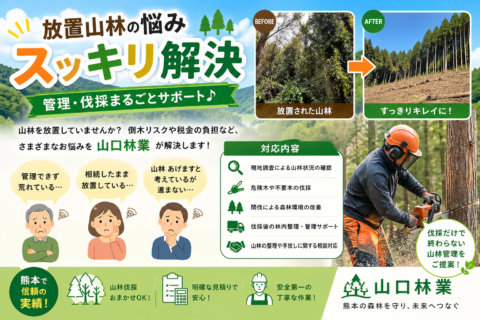 【放置山林の悩みスッキリ解決】管理・伐採まるごとサポート♪